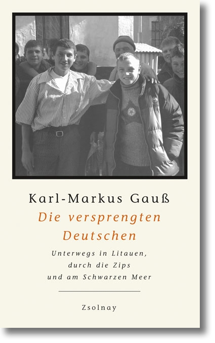 Buchcover: Karl Markus Gausß: Die versprengten Deutschen Buchcover: Karl Markus Gausß: Die versprengten Deutschen
