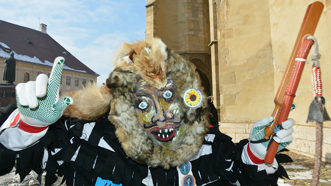 Auf dem Huetplatz in Hermannstadt/Sibiu: Maske einer Einzelurzel aus Agnetheln/Agnita. Foto: © Laura Micu