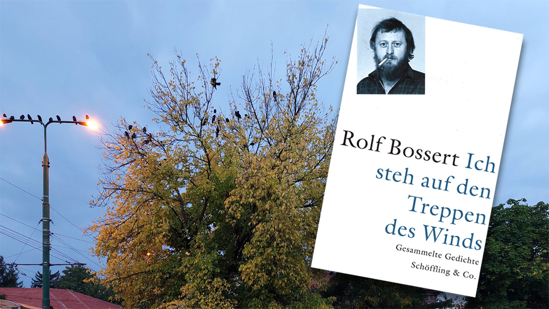 »Wo sind wir, was wir sind« – Existieren und Schreiben in der kommunistischen Diktatur - Veranstaltungen