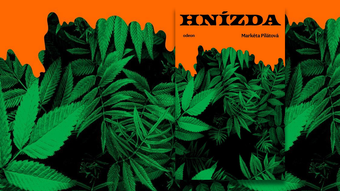 Hnízda | Nester - Veranstaltungen